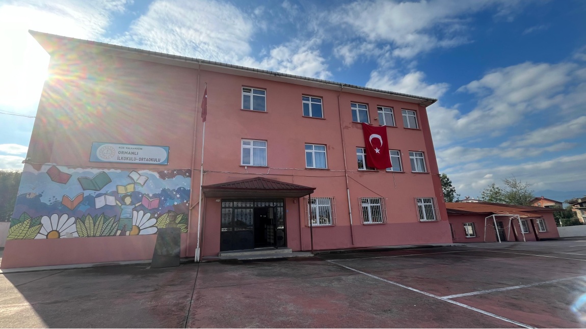 ORMANLI İLKOKULU Fotoğrafı